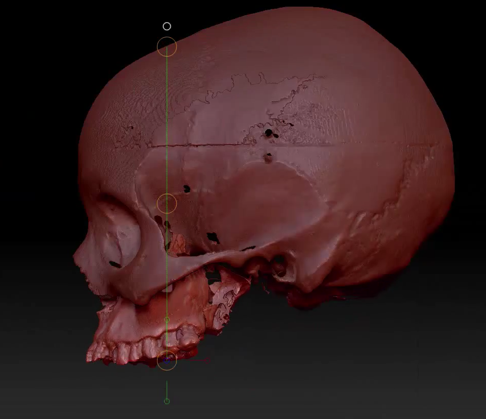 color skull